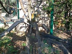 183 D22 SANARY SUR MER 2_000007
